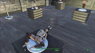 Fallout 4 Pin-up Museum