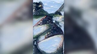 DRAW VIDEO NICE ASS & LITTLE COCK