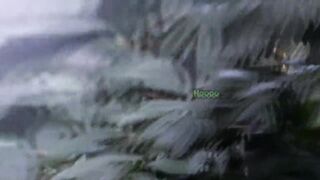 3D Animation - Shemale Knight fucks Girl, FUTANARI Sex Story