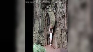 Funny Tree Shapes