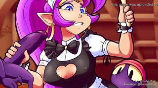 Shantae and the Pirates Curse - Loop