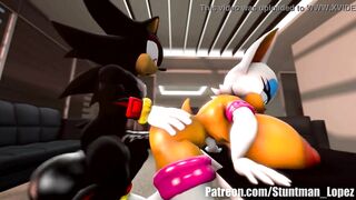 Rouge And Shadow (Commission: jimmythereptile)