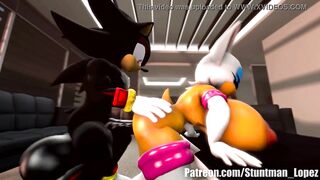 Rouge And Shadow (Commission: jimmythereptile)