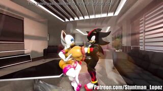 Rouge And Shadow (Commission: jimmythereptile)