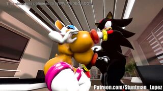 Rouge And Shadow (Commission: jimmythereptile)