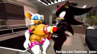 Rouge And Shadow (Commission: jimmythereptile)