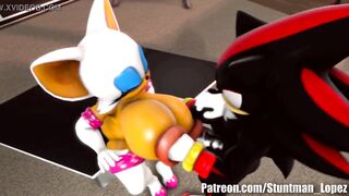 Rouge And Shadow (Commission: jimmythereptile)