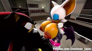 Rouge And Shadow (Commission: jimmythereptile)