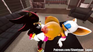 Rouge And Shadow (Commission: jimmythereptile)