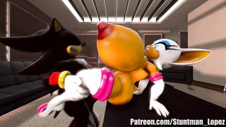 Rouge And Shadow (Commission: jimmythereptile)