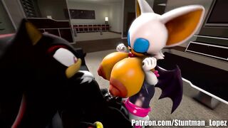 Rouge And Shadow (Commission: jimmythereptile)
