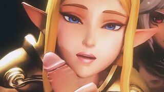 Princess Zelda (HW) Perv Garden