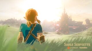 3D HENTAI LEGEND OF ZELDA BREATH OF THE WILD AND LINK