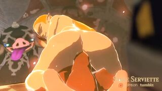 3D HENTAI LEGEND OF ZELDA BREATH OF THE WILD AND LINK