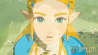3D HENTAI LEGEND OF ZELDA BREATH OF THE WILD AND LINK
