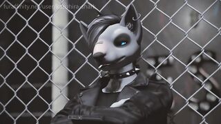 Furry Yiff - Skater Wolf Girl Gets Humped Outside! (3d Sl Animation)