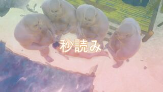 японская шоу-игра 精子の海 толстые мужики кончают на писающую девушку