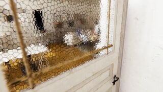 Куколд делится своей подругой с другом и смотрит [3Д Хентай]
