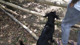Phoenix Marie's Premium Favorite NAKED BITCH at the Park LEAKED
