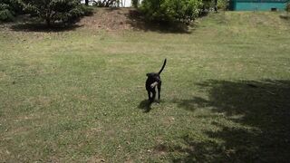 Phoenix Marie's Premium Favorite NAKED BITCH at the Park LEAKED