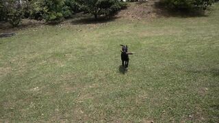 Phoenix Marie's Premium Favorite NAKED BITCH at the Park LEAKED