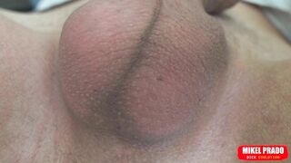 Scrotum with Eggs Moves Fast