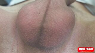 Scrotum with Eggs Moves Fast