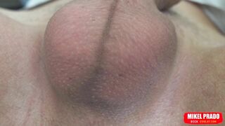 Scrotum with Eggs Moves Fast