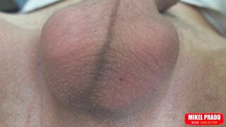 Scrotum with Eggs Moves Fast