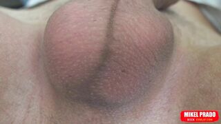 Scrotum with Eggs Moves Fast