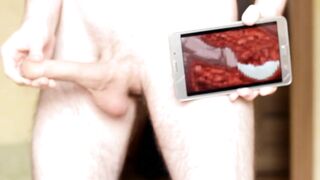 I Watch Hentai Euphoria while Wanking