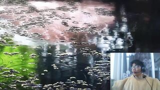 测试视频哦