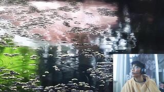 测试视频哦