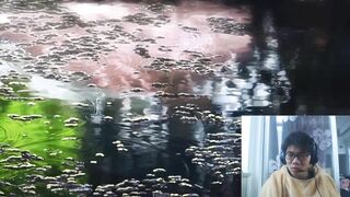 测试视频哦