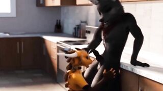 Furry Wolf Kitchen Blowjob Animation