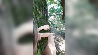 public anal Bois de Carnac, France, Preview