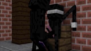 Minecraft compilation.