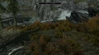 Skyrim guard agreed to solve the problem in exchange for sex