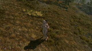 Skyrim guard agreed to solve the problem in exchange for sex