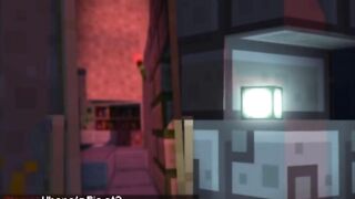 Minecraft 3D Compilation