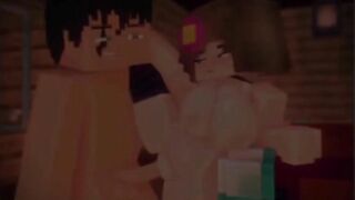 Minecraft 3D Compilation