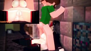 Minecraft 3D Compilation