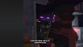 Minecraft 3D Compilation