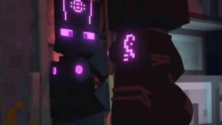 Minecraft 3D Compilation