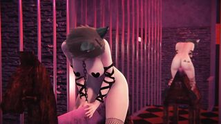Tied up neko girl rubs pussy on wooden horse and cums