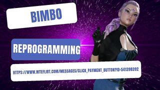 Bimbo Reprogramming Preview