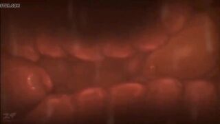 Learn the process how to cum in side