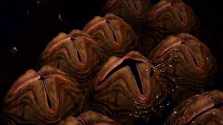 BH:1.25 Facehugger Hive Encounter