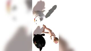 【MMD】Shreding Geigers cat【R-18】