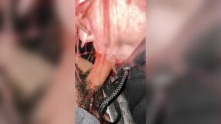 Redhead sucks